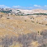 נוף בוריס רחוק